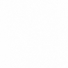 Bransoleta U.S. Polo Assn. CELINE JW3151BR