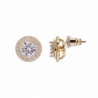 Kolczyki U.S. Polo Assn. CRISTAL JW5064EA