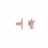 Kolczyki U.S. Polo Assn. GALAXIE JW5073EA