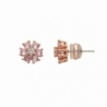 Kolczyki U.S. Polo Assn. DAISY JW5264EA
