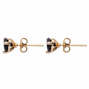 Kolczyki U.S. Polo Assn. JAMES JW5273EA