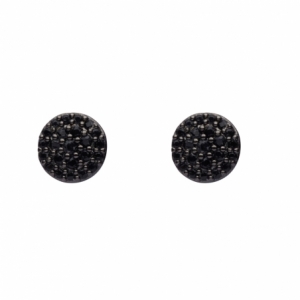 Kolczyki U.S. Polo Assn. JAMES JW5275EA