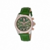 Zegarek Damski U.S. Polo Assn. USP8445GR