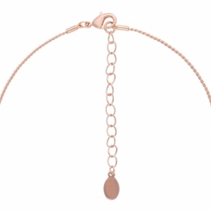 Naszyjnik Damski U.S. Polo Assn. LACEY JW2007NK