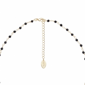 Naszyjnik Damski U.S. Polo Assn. NICOLE JW2274NK