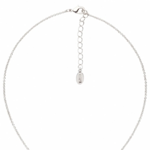 Naszyjnik Damski U.S. Polo Assn. SHERYL JW2299NK