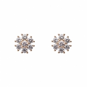 Kolczyki Damski U.S. Polo Assn. DAISY JW5352EA