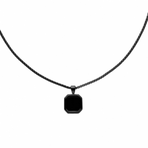 Naszyjnik Męski U.S. Polo Assn. PARKER JW6074NK